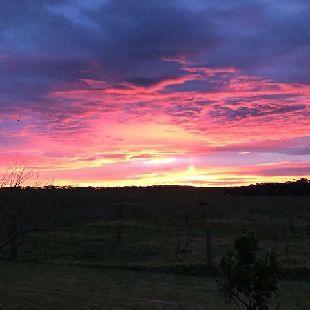 Langleys Port Campbell Hobby Farm Apartment Bagian luar foto