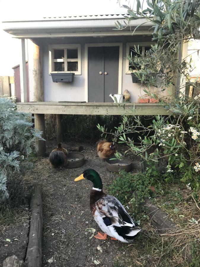 Langleys Port Campbell Hobby Farm Apartment Bagian luar foto