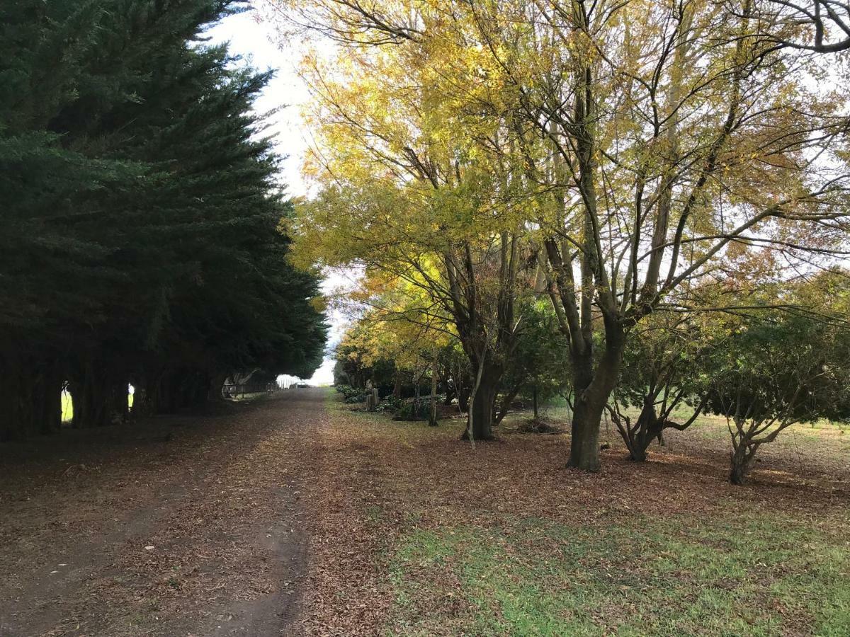 Langleys Port Campbell Hobby Farm Apartment Bagian luar foto