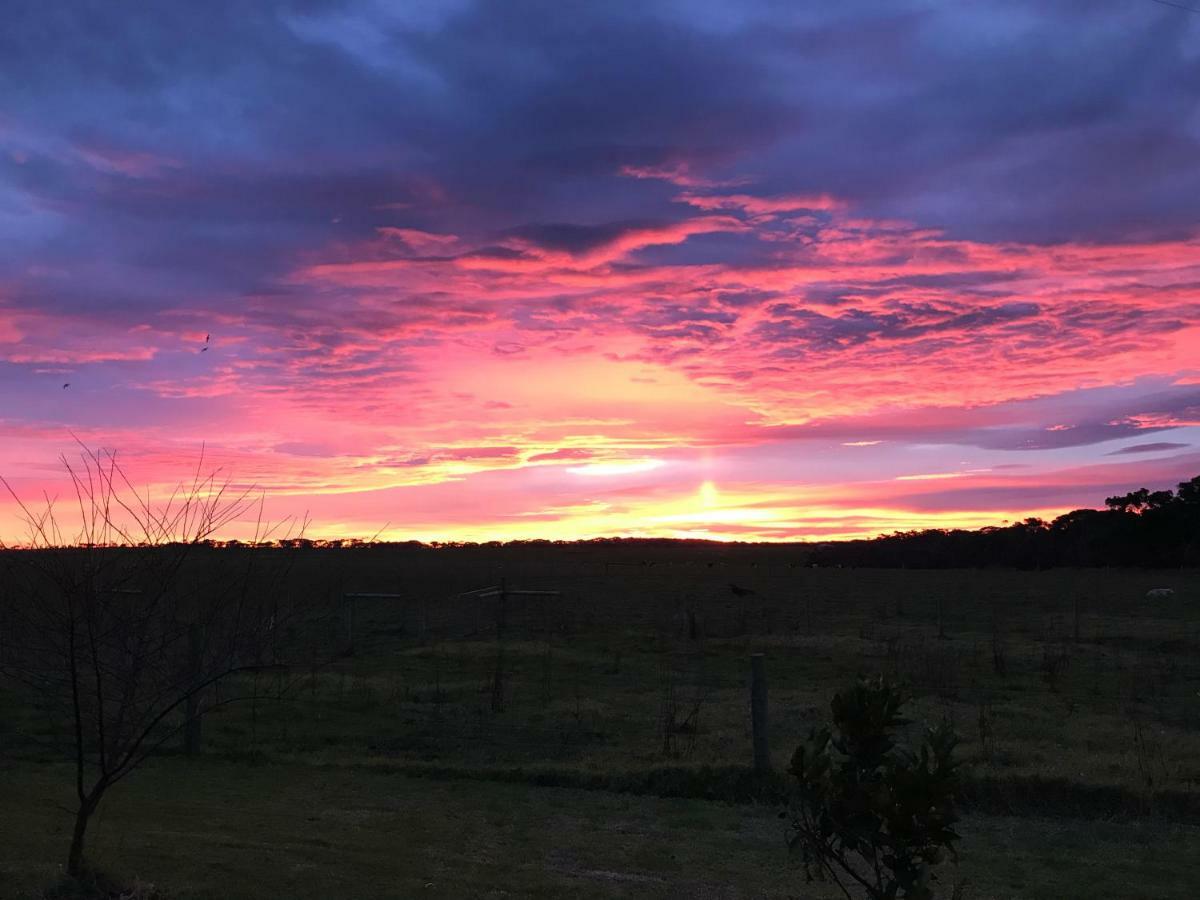 Langleys Port Campbell Hobby Farm Apartment Bagian luar foto